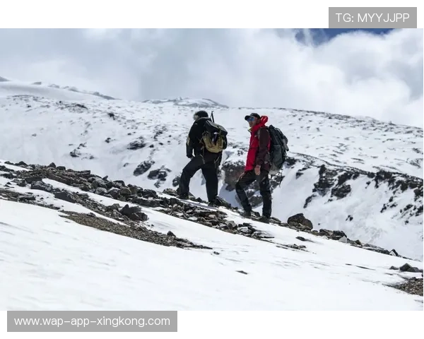 AC米兰补强中卫线高度