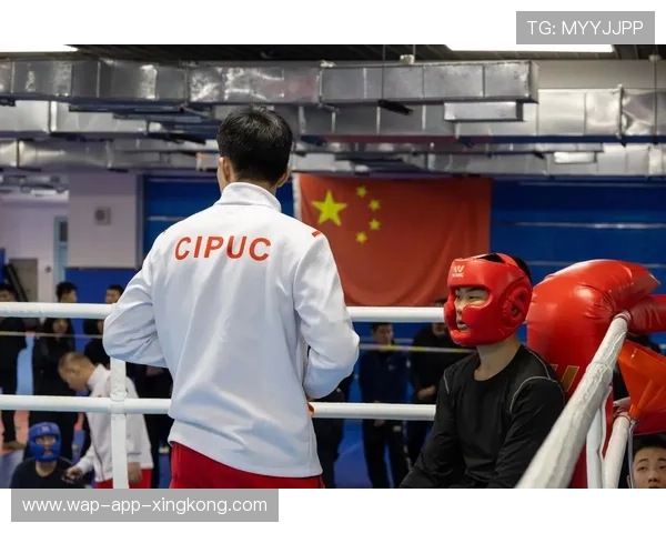 拳击擂台夜弗拉基米尔重拳制胜对手，成为新一代拳击传奇